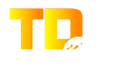 TDX launchpad